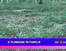 O plimbare în familie
