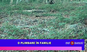 O plimbare în familie