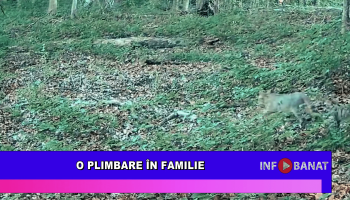 O plimbare în familie