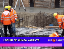 Locuri de muncă vacante