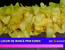 Locuri de muncă prin EURES