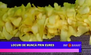 Locuri de muncă prin EURES