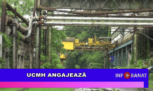 UCMH angajează