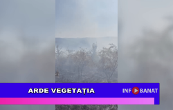 Arde vegetația