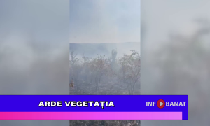 Arde vegetația