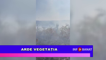 Arde vegetația