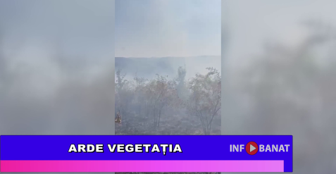 Arde vegetația