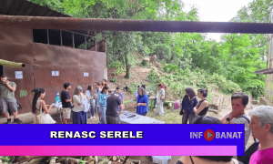 Renasc serele