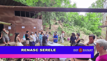 Renasc serele