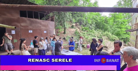 Renasc serele