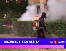 Dezinsecție la Reșița