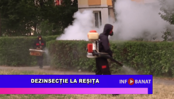Dezinsecție la Reșița