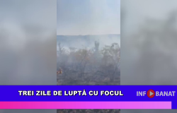 Trei zile de luptă cu focul