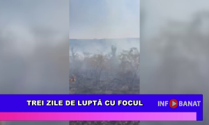 Trei zile de luptă cu focul