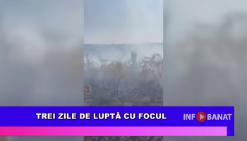Trei zile de luptă cu focul