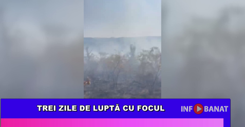Trei zile de luptă cu focul