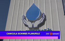 Canicula schimbă planurile