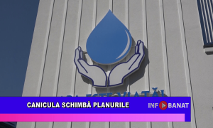 Canicula schimbă planurile