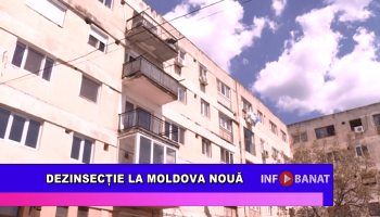 Dezinsecție la Moldova Nouă