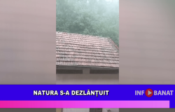 Natura s-a dezlănțuit