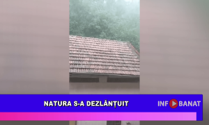 Natura s-a dezlănțuit