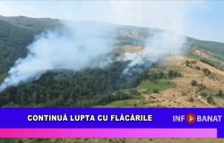 Continuă lupta cu flăcările