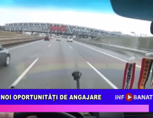Noi oportunităși de angajare