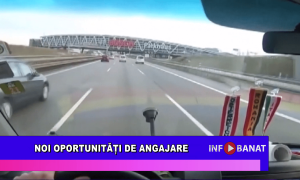 Noi oportunităși de angajare
