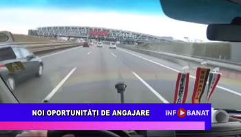 Noi oportunităși de angajare