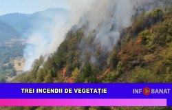 Trei incendii de vegetație