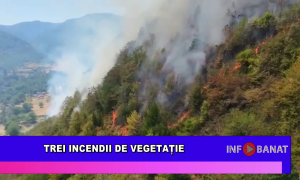 Trei incendii de vegetație