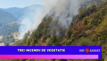 Trei incendii de vegetație