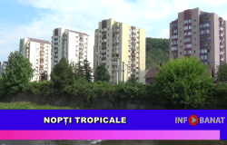 Nopți tropicale