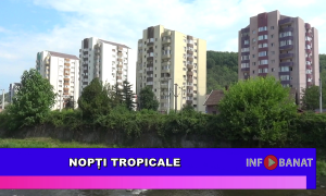 Nopți tropicale