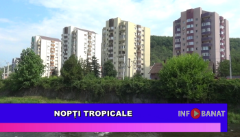 Nopți tropicale