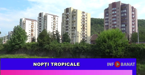 Nopți tropicale