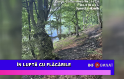 În luptă cu flăcările