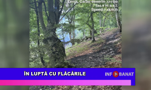 În luptă cu flăcările