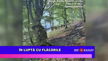În luptă cu flăcările