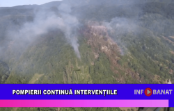 Pompierii continuă intervențiile