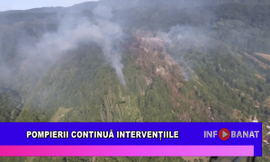 Pompierii continuă intervențiile