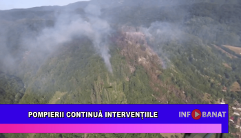 Pompierii continuă intervențiile