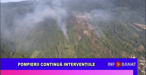 Pompierii continuă intervențiile