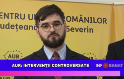 AUR: Intervenții controversate