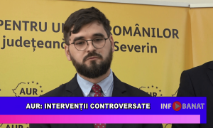 AUR: Intervenții controversate