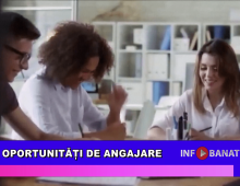 Oportunități de angajare