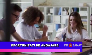 Oportunități de angajare