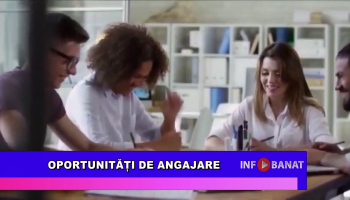 Oportunități de angajare