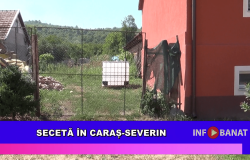 Secetă în Caraș-Severin