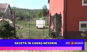 Secetă în Caraș-Severin